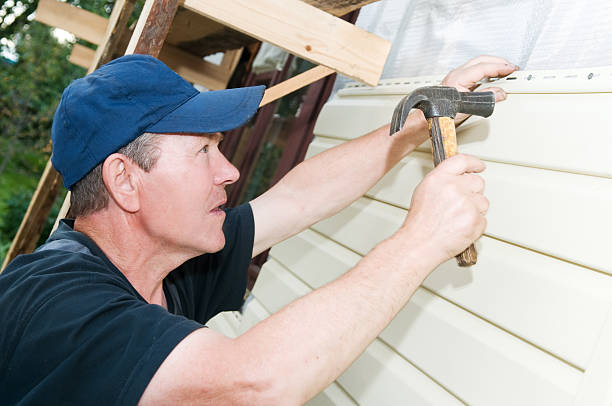 Best Custom Trim and Detailing for Siding  in Fruitland, MD